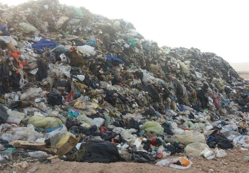 تصویر شاخص